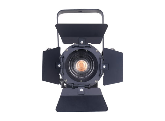 60W Mini Profile Spotlight - LumRex